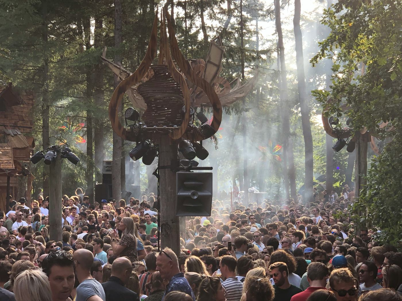PULSE GROVE